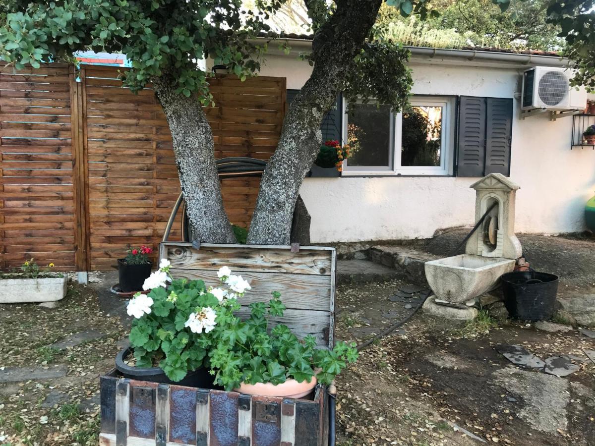 Cabana Jara Y Enebro Collado Villalba Exteriör bild