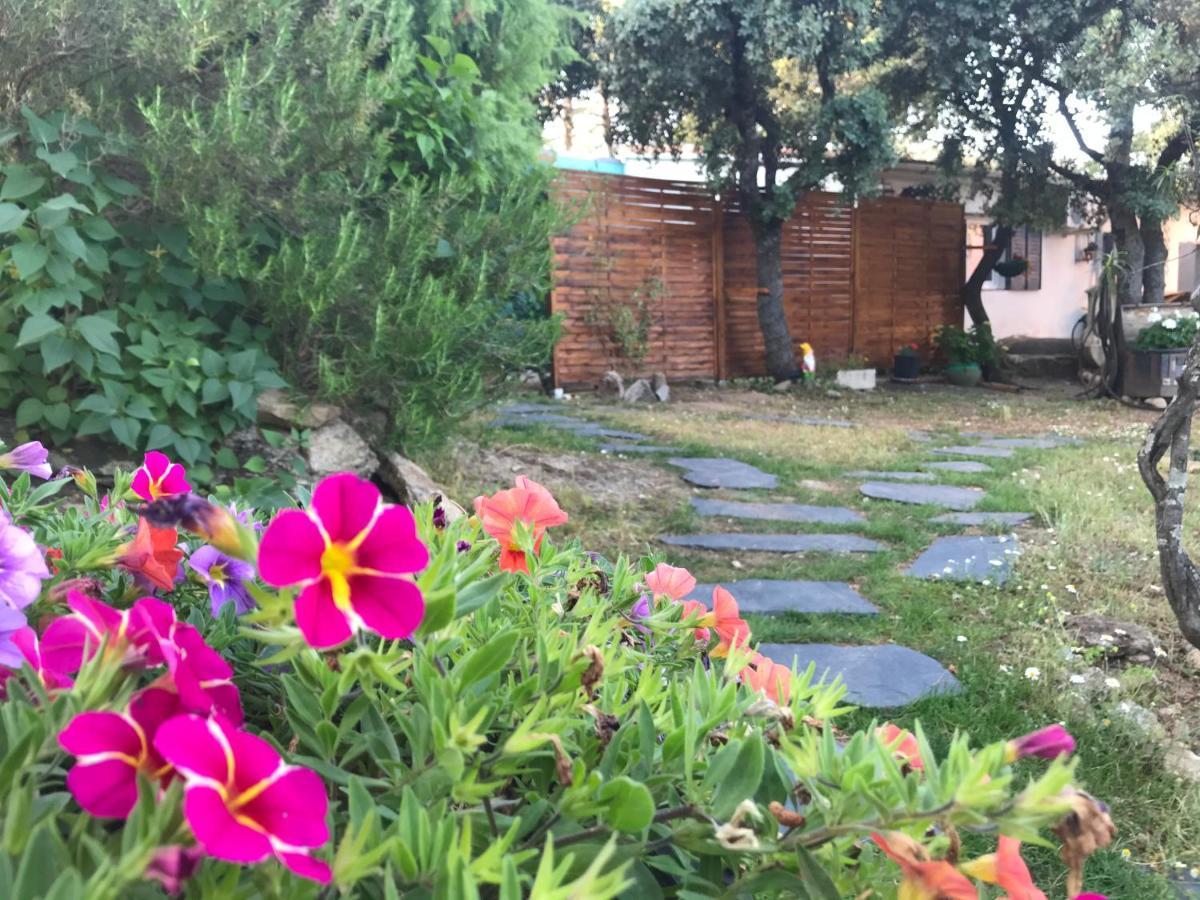 Cabana Jara Y Enebro Collado Villalba Exteriör bild