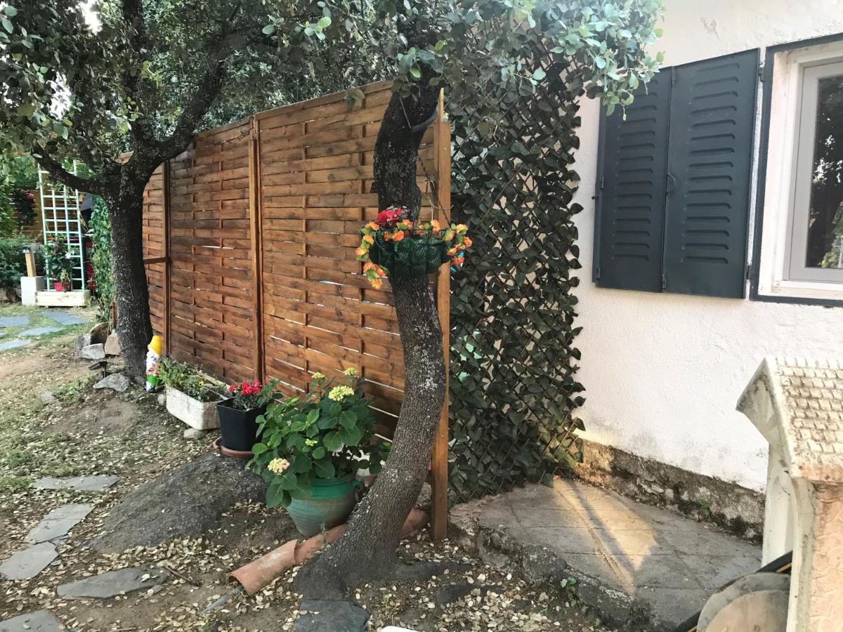 Cabana Jara Y Enebro Collado Villalba Exteriör bild
