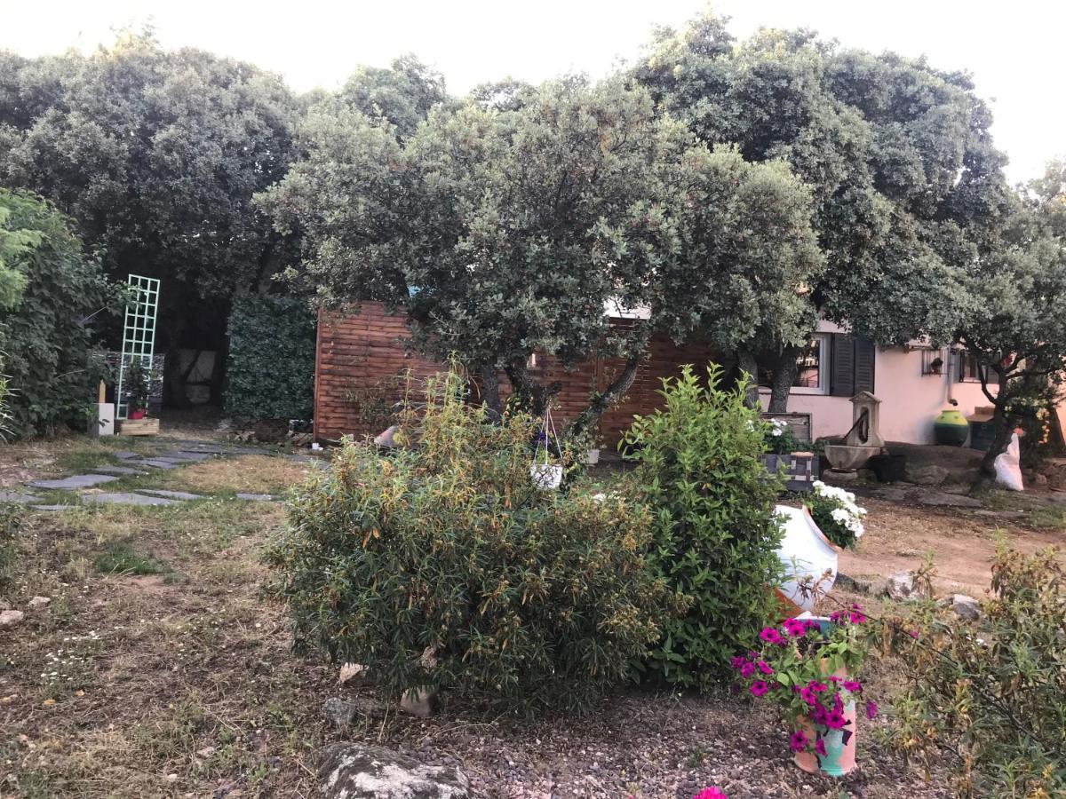 Cabana Jara Y Enebro Collado Villalba Exteriör bild