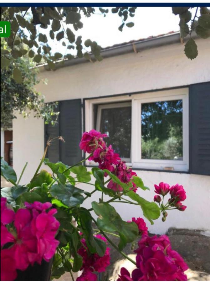 Cabana Jara Y Enebro Collado Villalba Exteriör bild